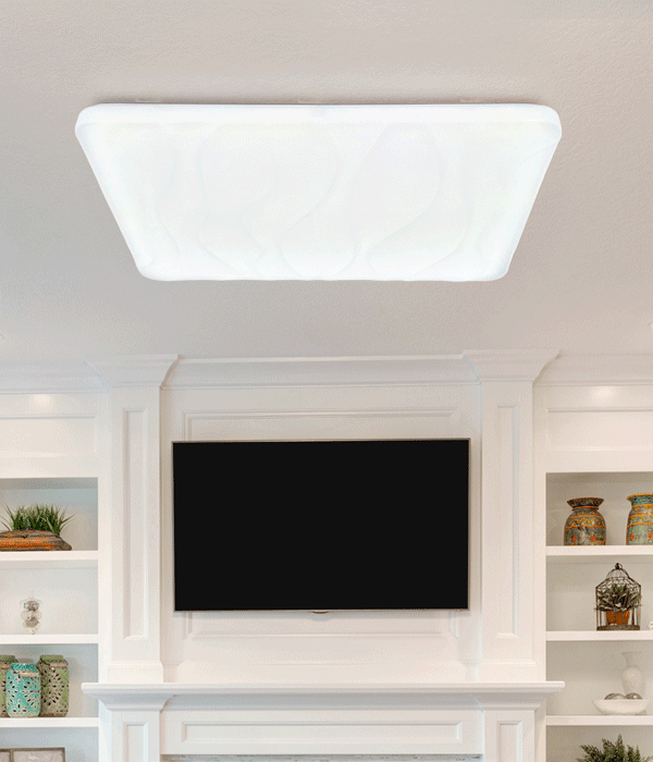 웨이비120W 국산LED거실등 리모컨거실등